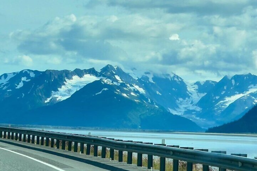 Alaska Wildlife Tour
