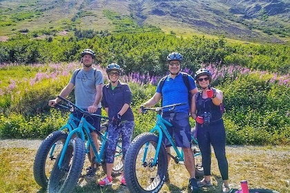 Tour panorámico en bicicleta de montaña por Anchorage