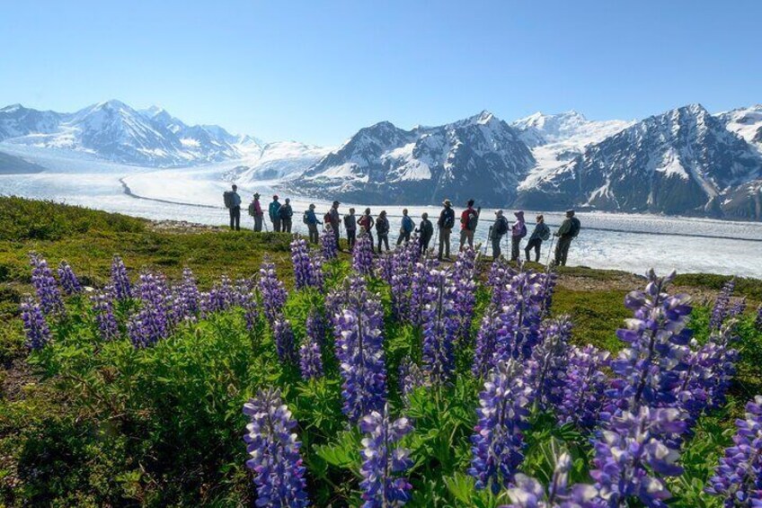 Alpine Location