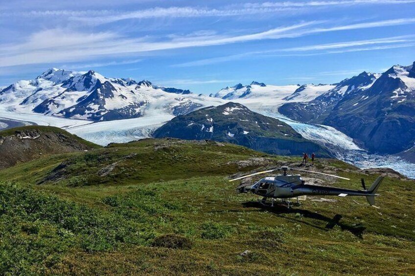 Alpine Location