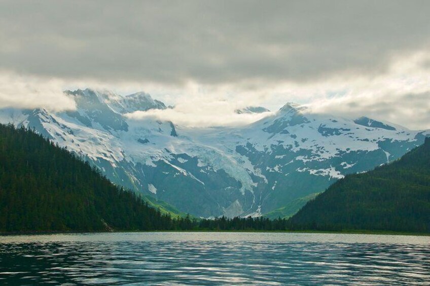 26 Glacier Cruise - Explore the serenity of Prince William Sound. Phillips Cruises & Tours, LLC