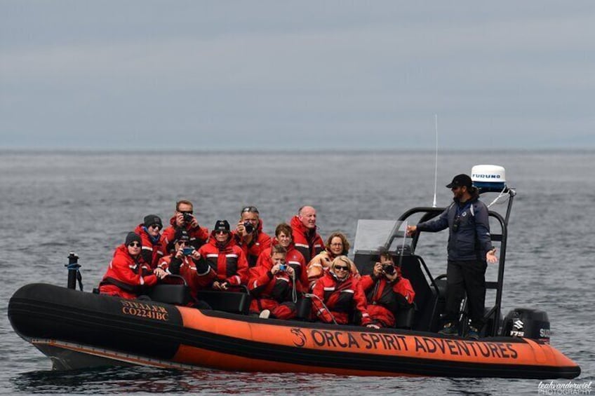 Whale Watching Tour in a Zodiac Boat in Victoria