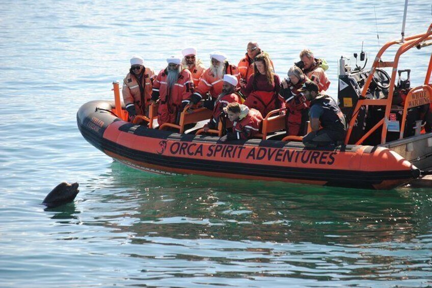 Whale Watching Tour in a Zodiac Boat in Victoria