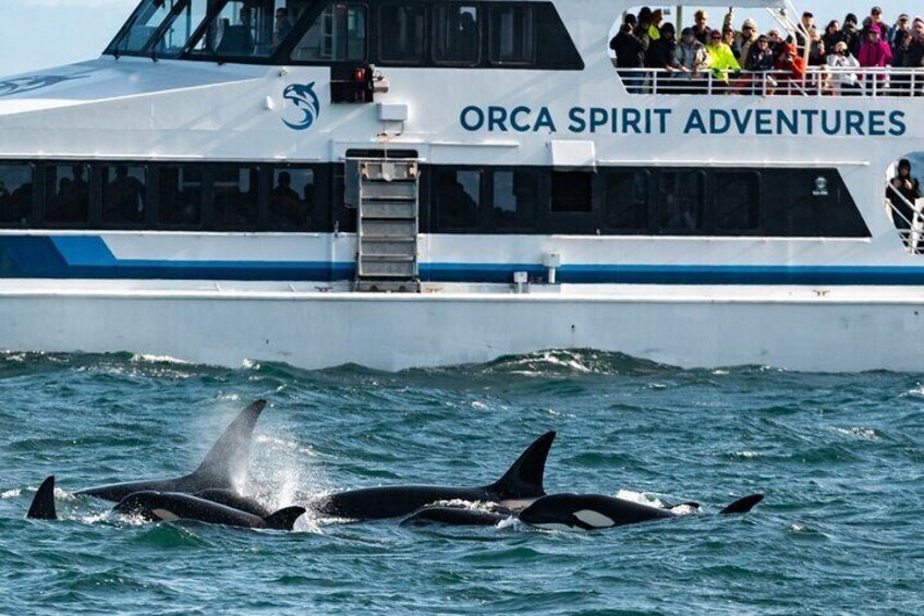 Victoria Whale Watching Tour on a Covered Vessel