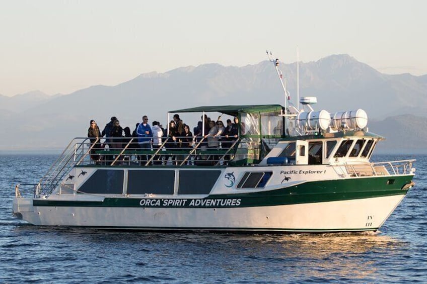 Victoria Whale Watching Tour on a Covered Vessel