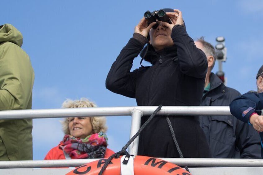 Victoria Whale Watching Tour on a Covered Vessel