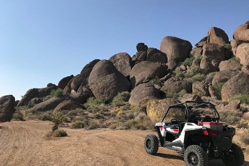 Hidden Valley and Primm Valley Extreme RZR Tour from Las Vegas