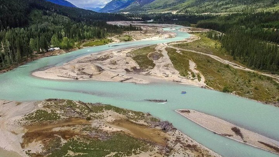 The stunning Kicking Horse