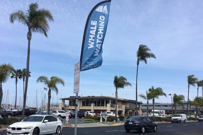 San Diego Whale Watching Cruise