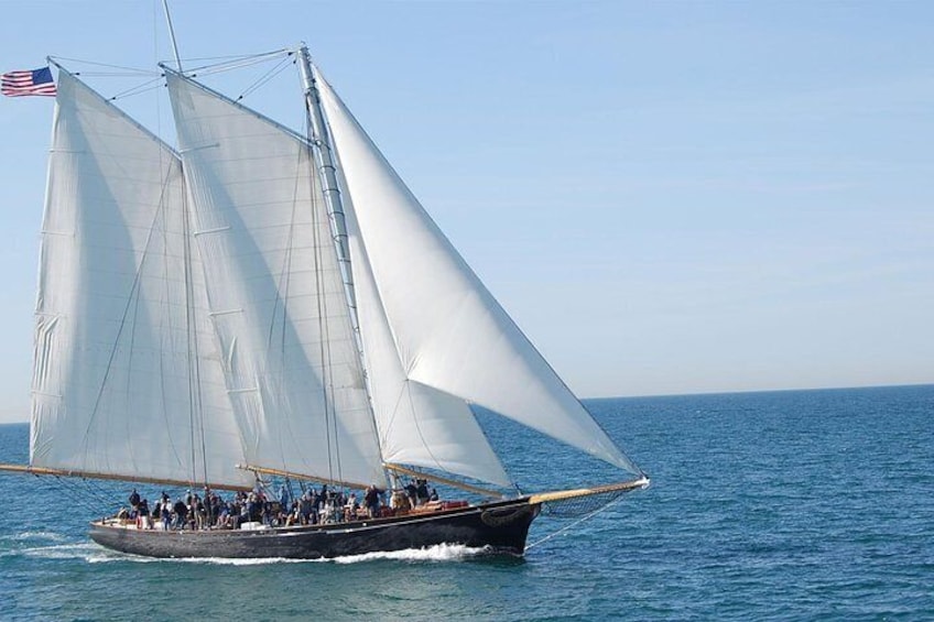 San Diego Whale Watching Cruise and Maritime Museum Entry