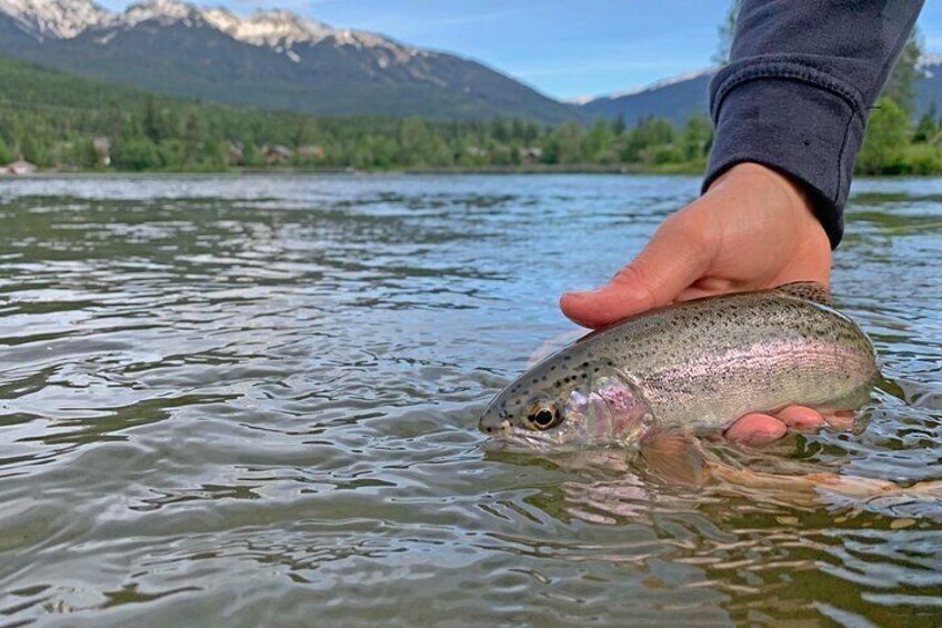 Fishing Adventure in Whistler