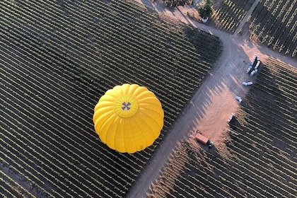 Wine Country Hot-Air Balloon Ride from Yountville, CA