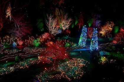 Enchanted Christmas Lights The Butchart Gardens: Entry included!