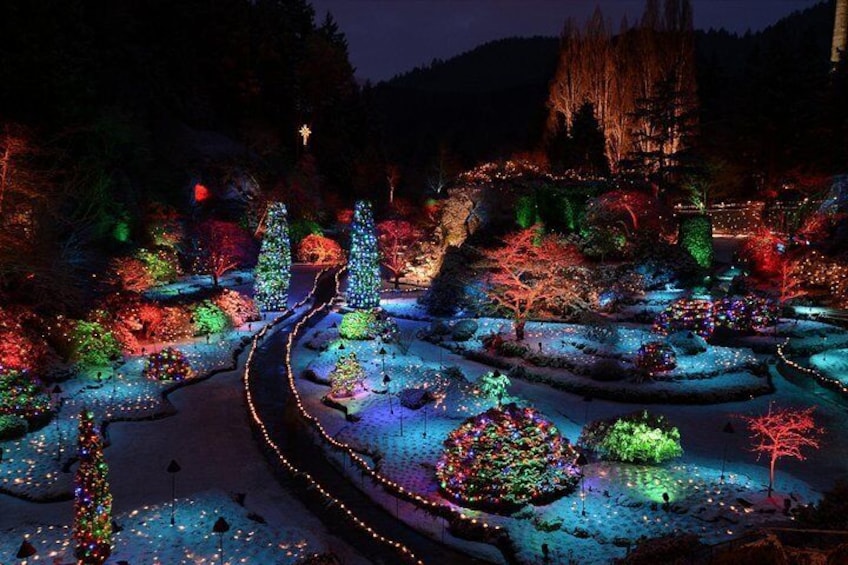 Christmas Lights at The Butchart Gardens