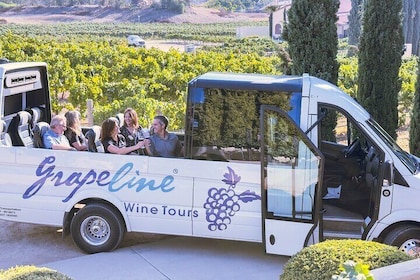 Tour de cata de vinos de día completo con todo incluido en el valle de Teme...