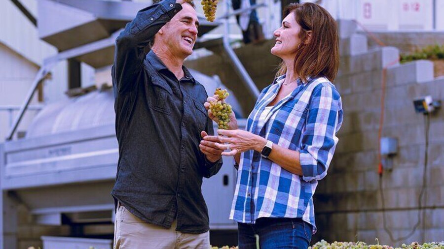 Grapeline's premier package in Temecula offers all-inclusive wine tour packages featuring a picnic lunch, tastings at each winery stop and a VIP tour.