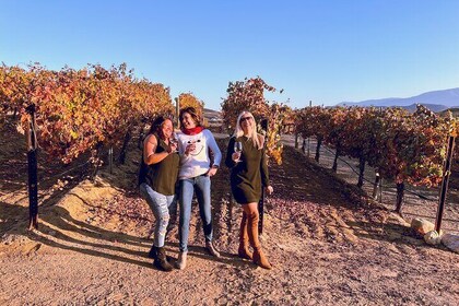 Tour de cata de vinos de día completo con todo incluido en el valle de Teme...