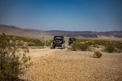 Aventura en todoterreno RZR por el desierto con salida desde Las Vegas