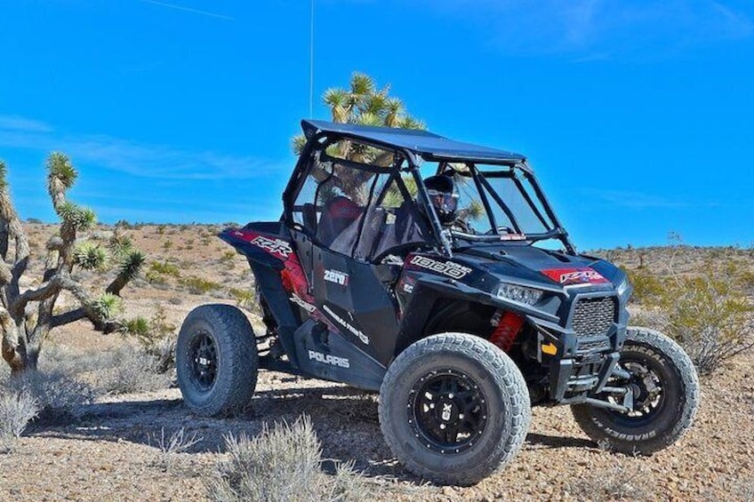 Desert Off-Road RZR Adventure from Las Vegas