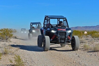 Las Vegas Off Road Mojave Desert Tour