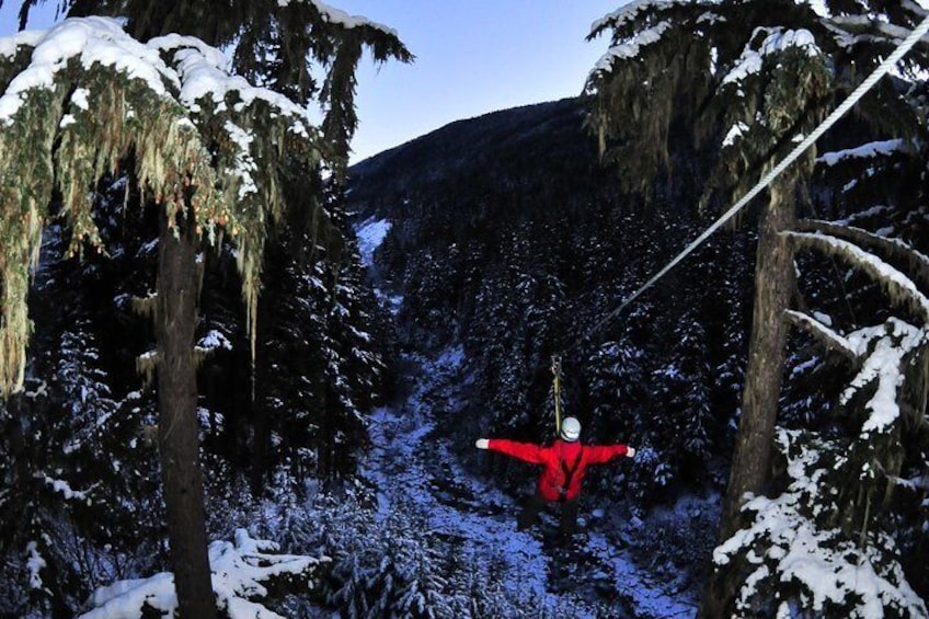 2 Hour Late Afternoon Winter Zipline Adventure