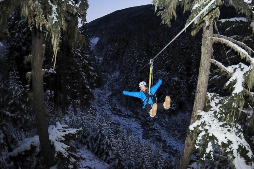 2 Hour Late Afternoon Winter Zipline Adventure