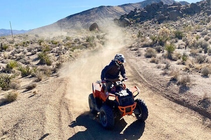 Hidden Valley und Primm Extreme ATV Tour