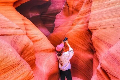 Lower Antelope Canyon and Horseshoe Bend Small Group Day Tour from Las Vega...