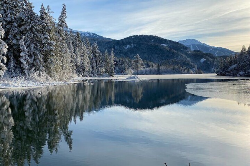 Whistler Half-Day Mountain Bike Tour