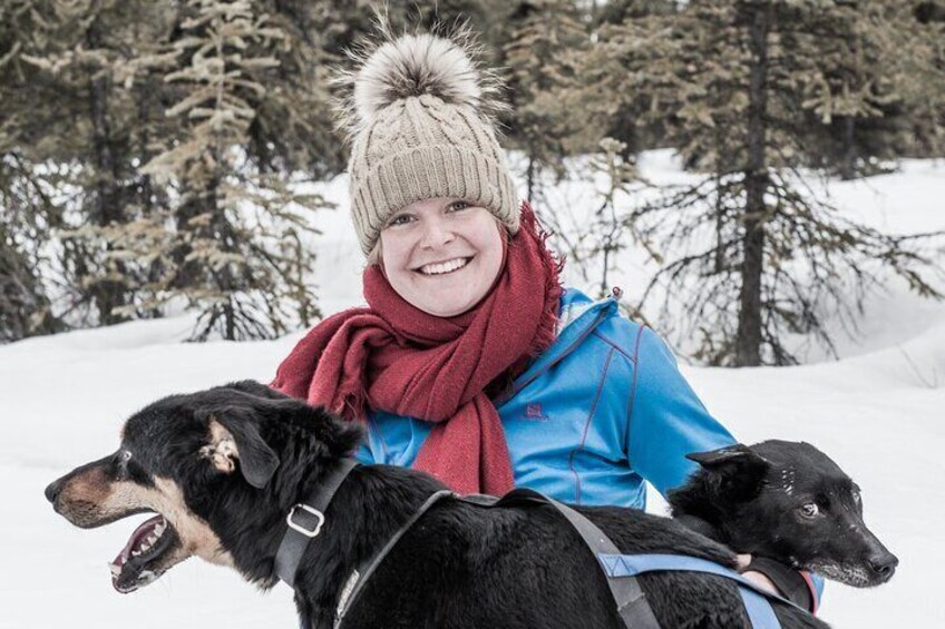 Dog Sledding - Subarctic Wilderness Tour