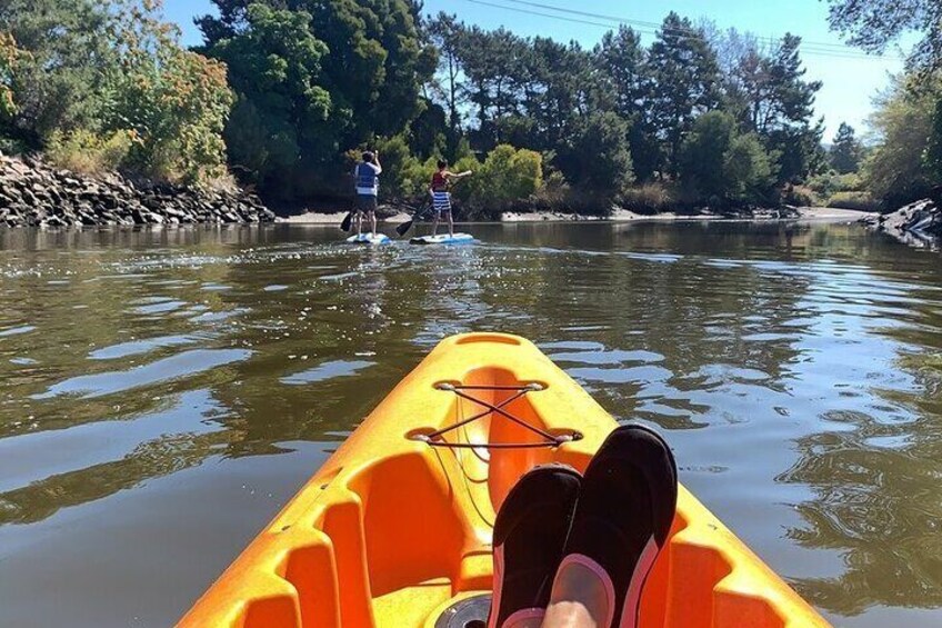 Napa Valley: Historic Kayak Tour, Single-one person Kayak