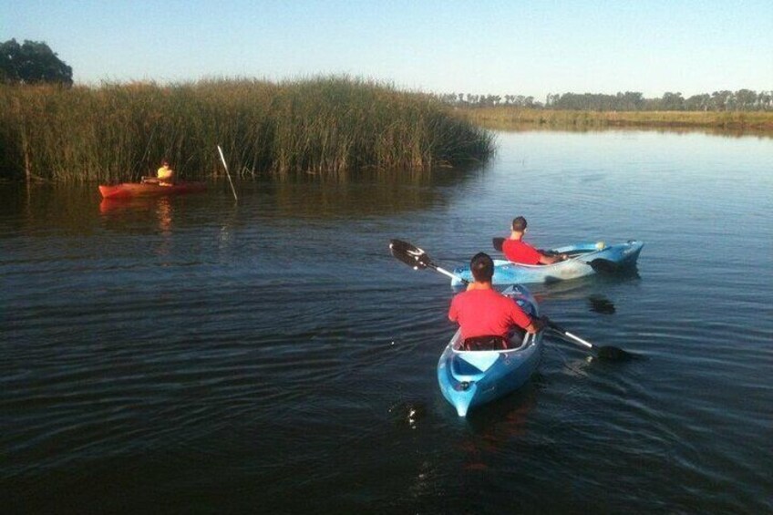 Napa Valley: Historic Kayak Tour, Single-one person Kayak