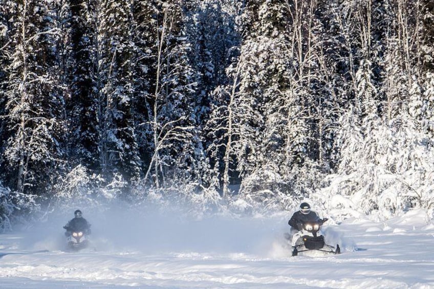 Winter wonderland in North Pole.