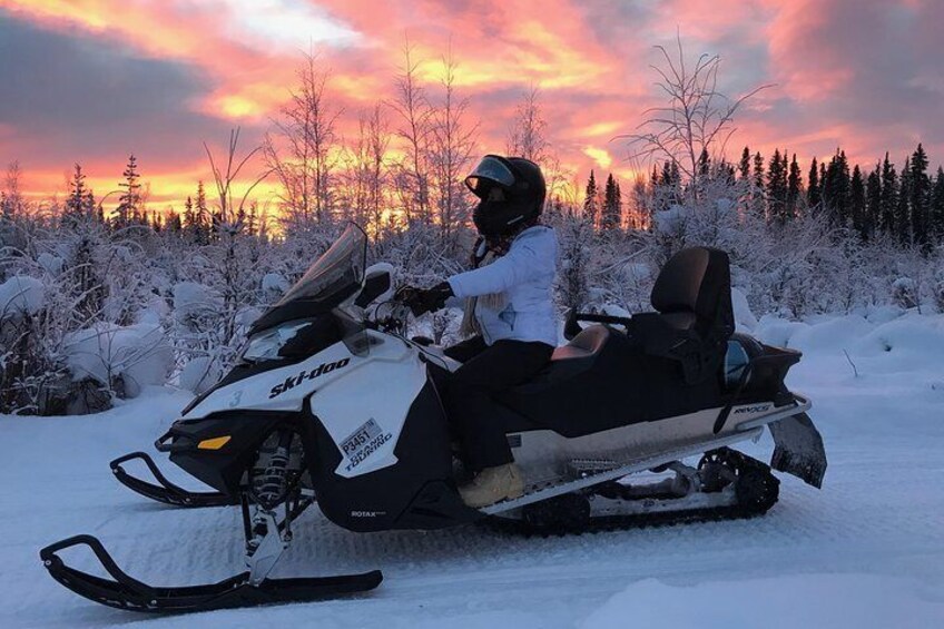 Step into Alaska's wild side by snowmobile