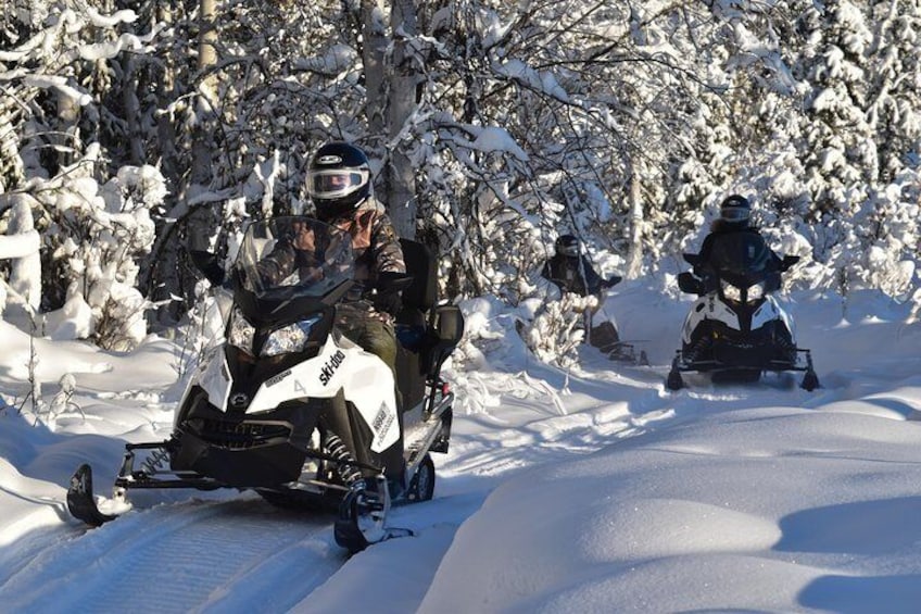 Slip through snow covered forests and across open fields.