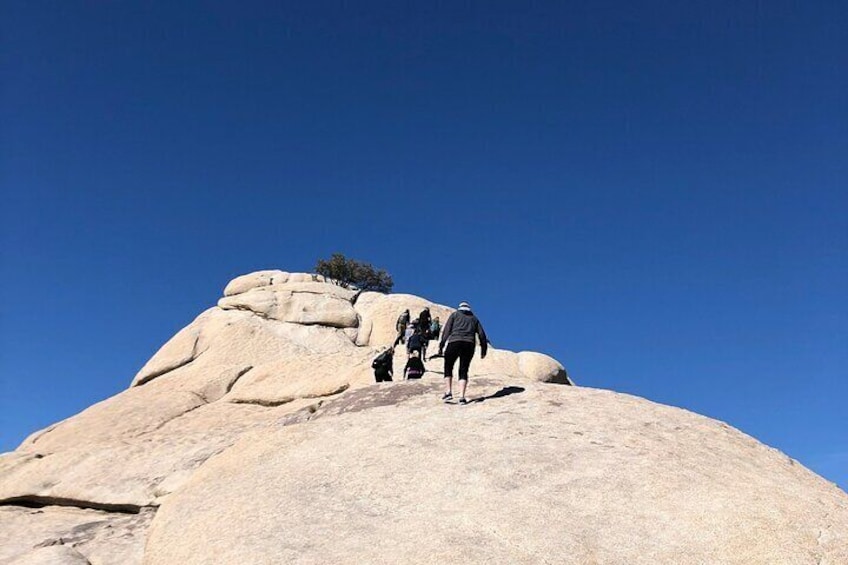 Yes, the boulders really are that big in Joshua Tree National Park!