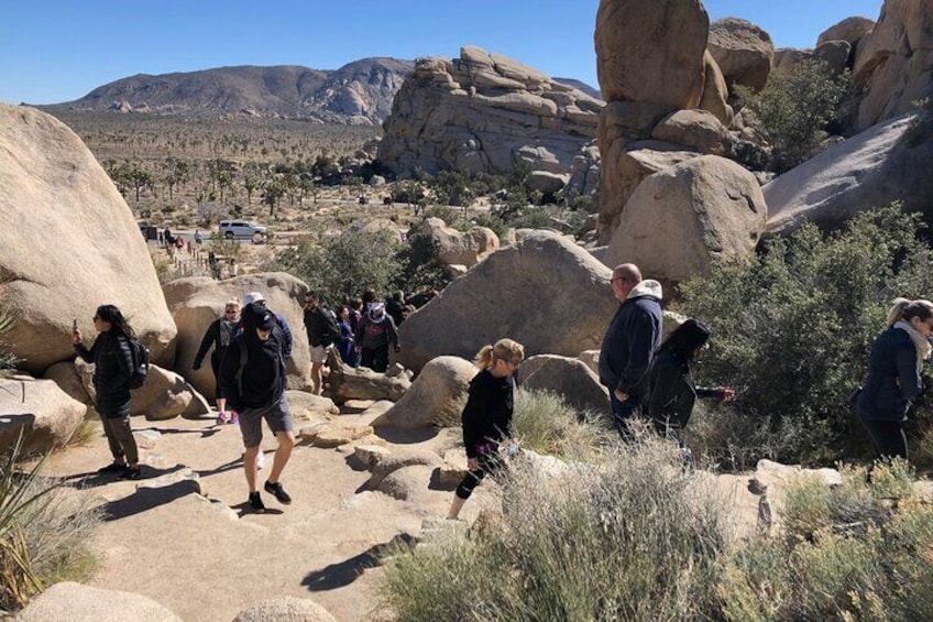 It is a playground for adults in Joshua Tree National Park!