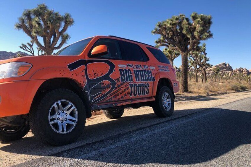 Joshua Tree National Park Driving Tour 