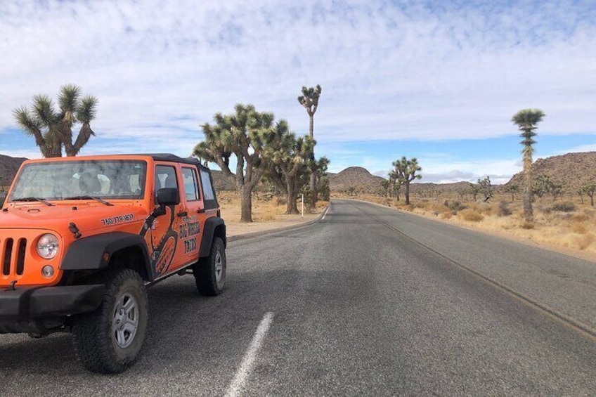 Behind our jeep is the tallest Joshua Tree in the National Park