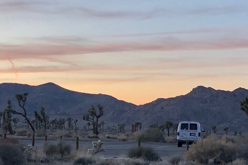 Late afternoon is beautiful in Joshua Tree National Park