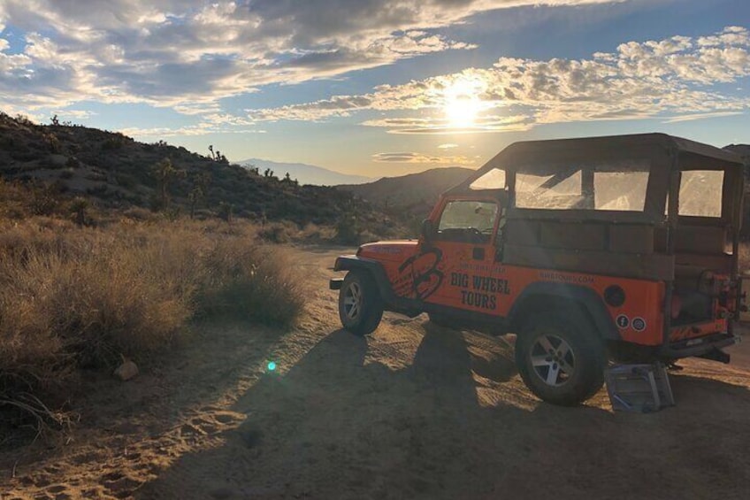 Late afternoon sun in Joshua Tree National Park