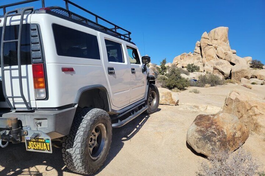 Joshua Tree National Park Scenic Tour