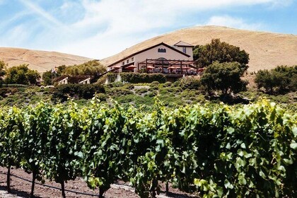 Private Sonoma and Napa Wine Tour Including Custom Concierge