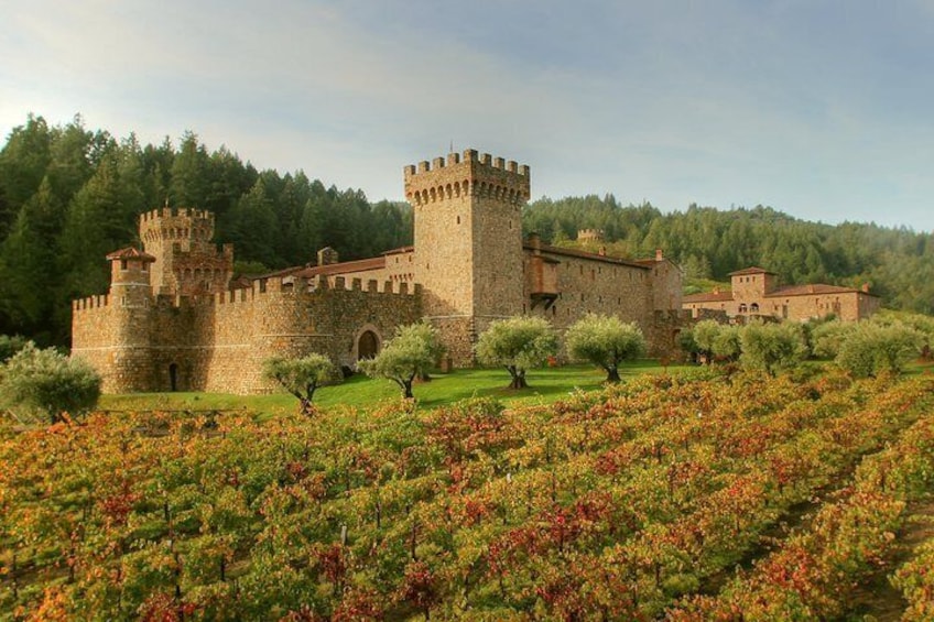Iconic castles of the wine region