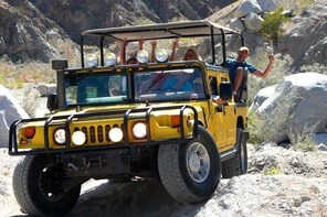 Joshua Tree Tour from Yucca Valley