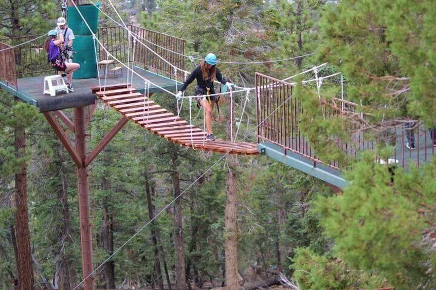 Suspension bridge in the treetops