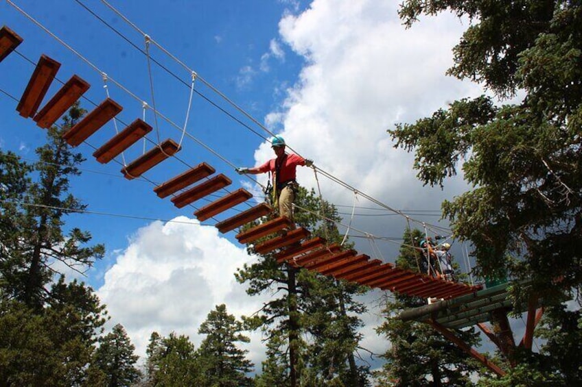 Zipline Tour - 9 high-speed ziplines & fun suspension bridge