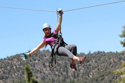 Zipline Tour - 9 high-speed ziplines & fun suspension bridge