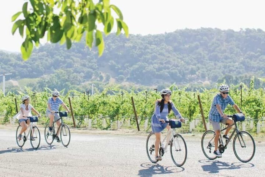 Half-Day Napa Valley E-Bike Tour