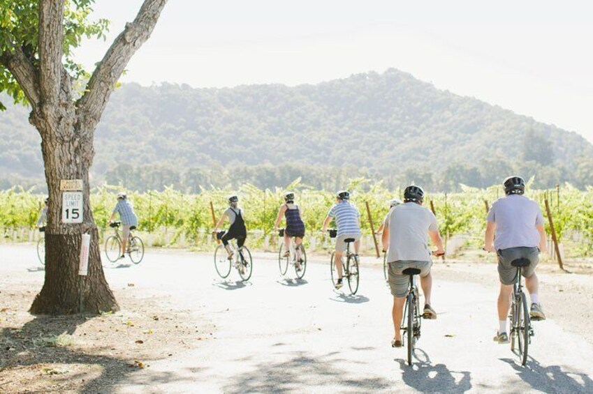 Napa Valley Wine Tasting Bike Tour